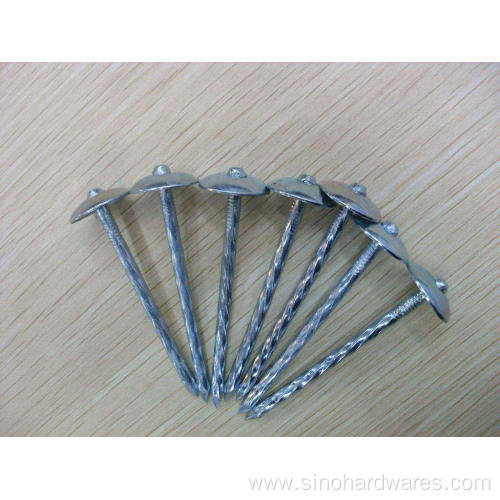 Smooth Umbrella Head Roofing Nail